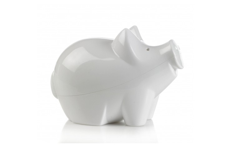 Big Cutie Piggy Bank