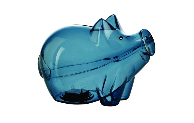 Big Cutie Piggy Bank