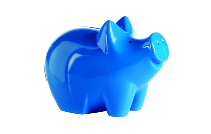 Big Cutie Piggy Bank
