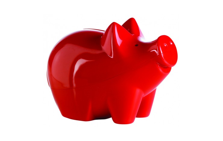 Big Cutie Piggy Bank
