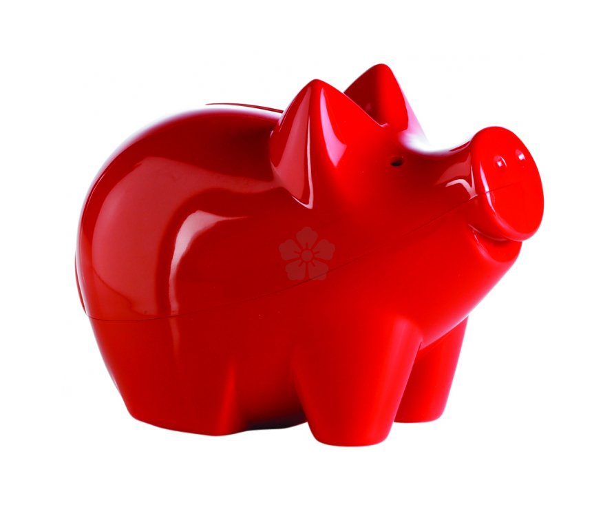 Red piggy store bank