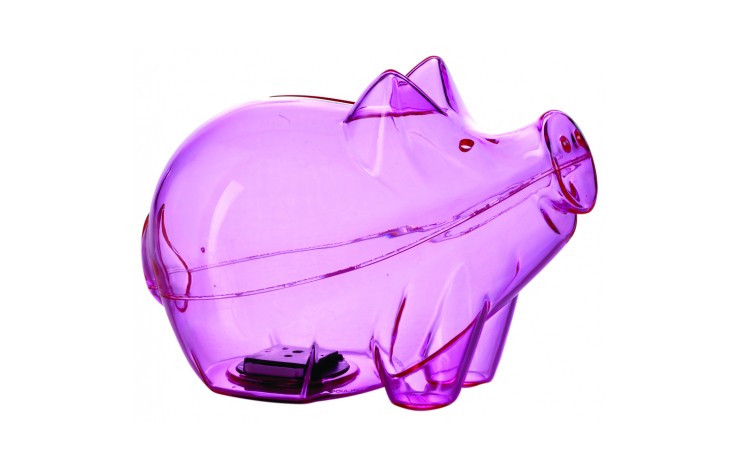 Big Cutie Piggy Bank