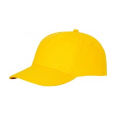 Budget 5 Panel Cotton Cap