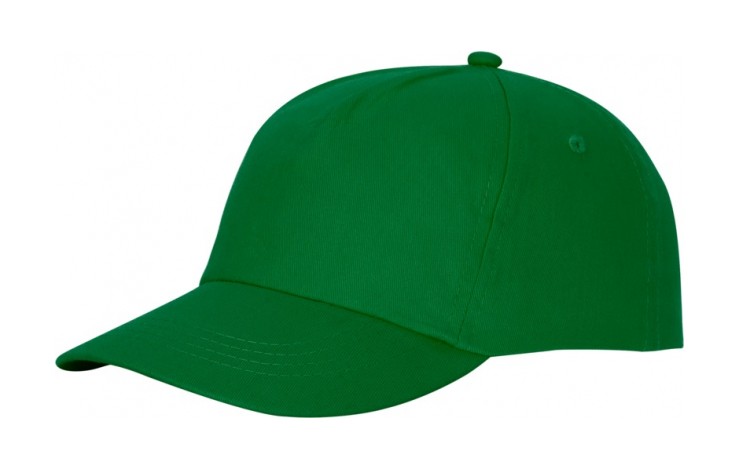 Budget 5 Panel Cotton Cap