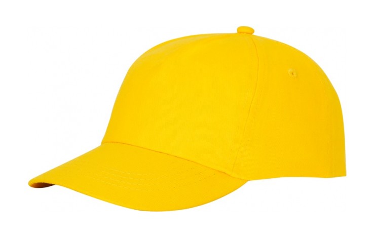 Budget 5 Panel Cotton Cap