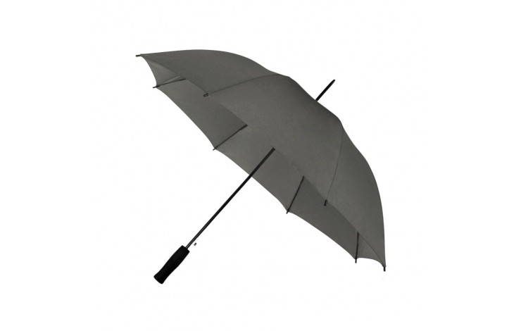Budget Walking Umbrella