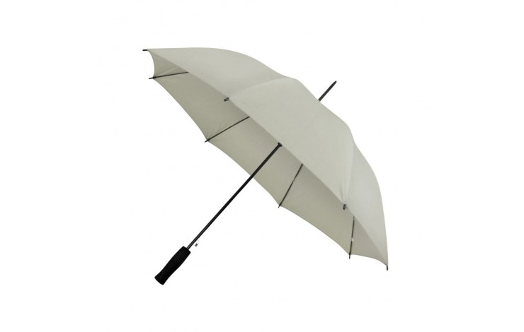 Budget Walking Umbrella