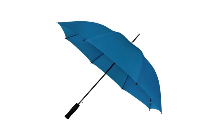 Budget Walking Umbrella