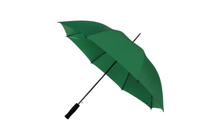 Budget Walking Umbrella