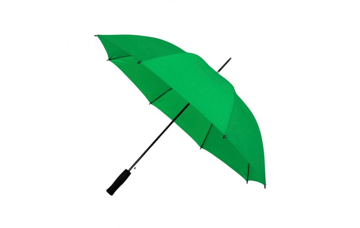 Budget Walking Umbrella