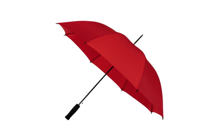 Budget Walking Umbrella