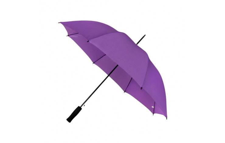 Budget Walking Umbrella