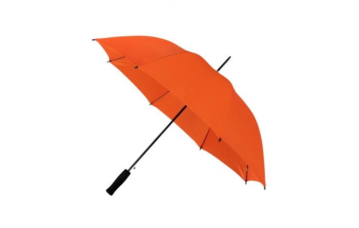 Budget Walking Umbrella