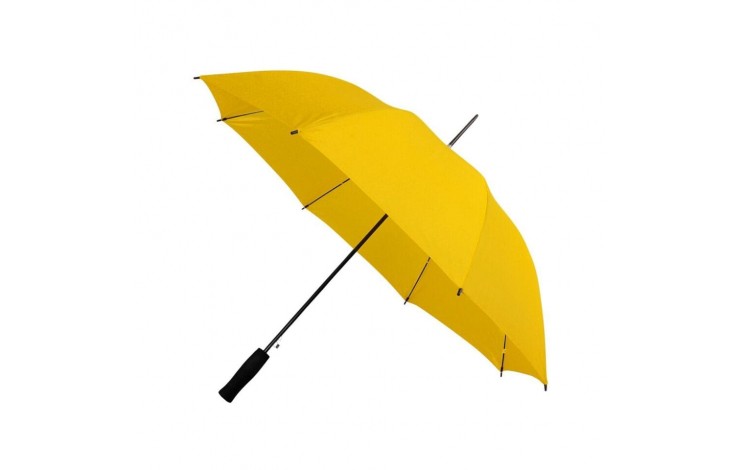 Budget Walking Umbrella