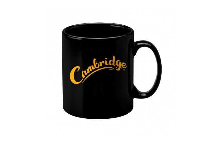 Cambridge Earthenware Mug