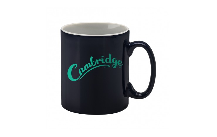 Cambridge Earthenware Mug