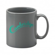 Cambridge Earthenware Mug