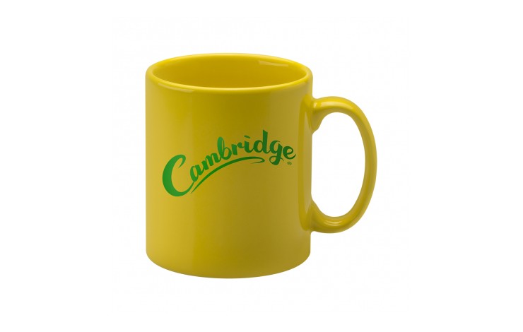 Cambridge Earthenware Mug