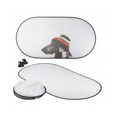 Car Windscreen Shield