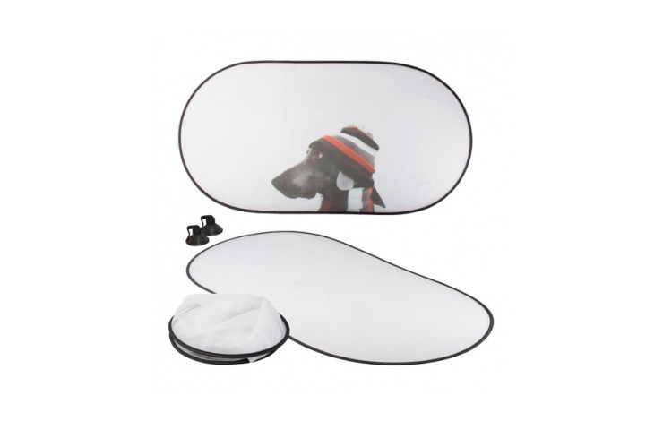 Car Windscreen Shield