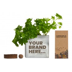 Clay Pot - Grow Kit