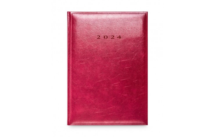 Colombia Large Daily Diary