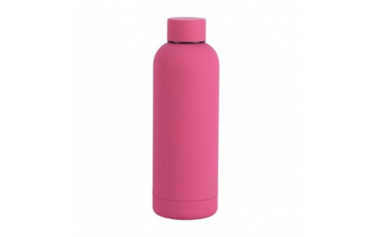 Colourcoat 500ml Stainless Steel Water Bottle