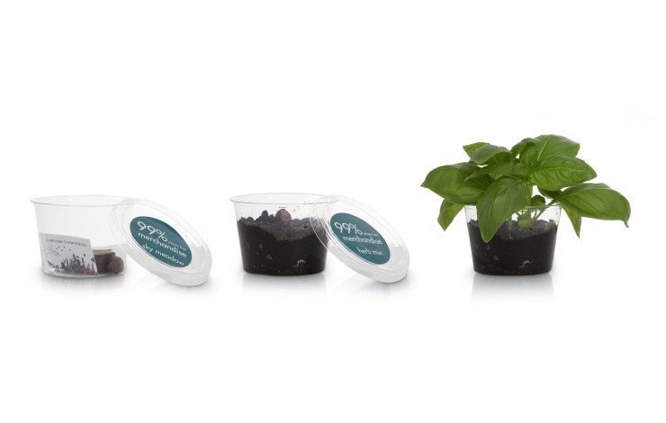 Compostable Plant Pot