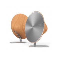 Cone Speaker