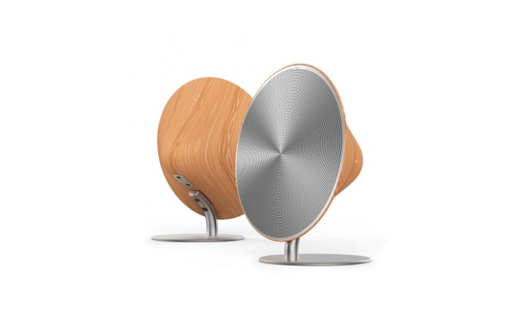 Cone Speaker