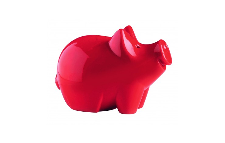 Cutie Piggy Bank