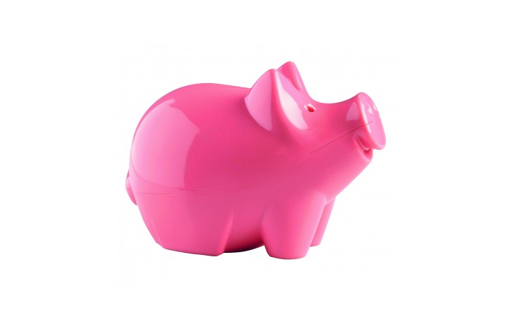 Cutie Piggy Bank