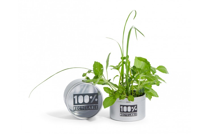 Desktop Greenhouse