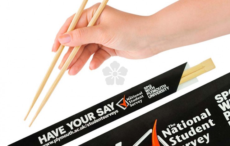 Disposable Bamboo Chopsticks