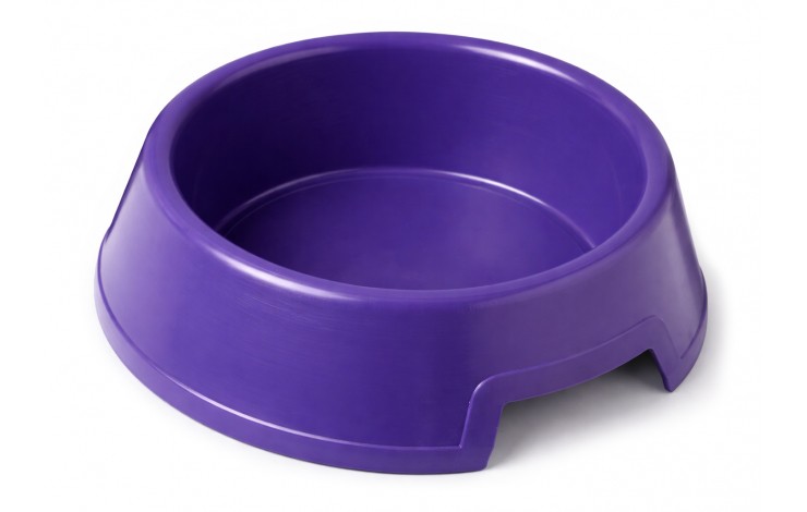 Dog Bowl
