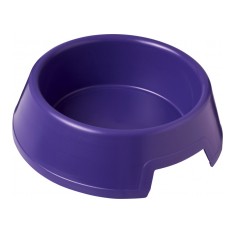 Dog Bowl