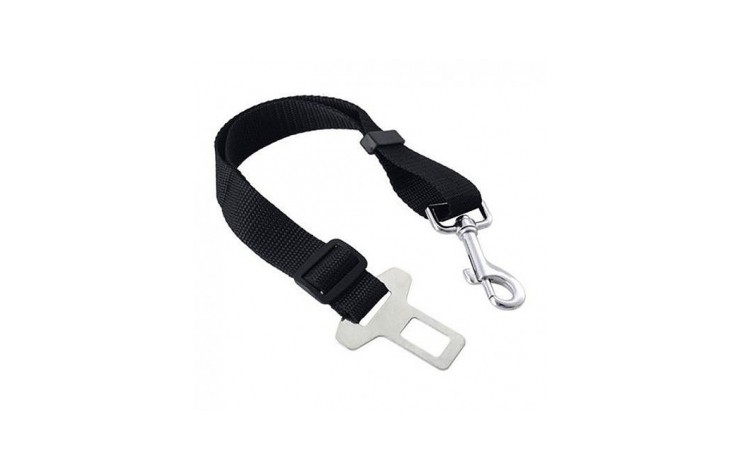 Dog Seat Belt