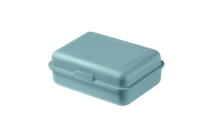 Eco Lunch/Storage Box