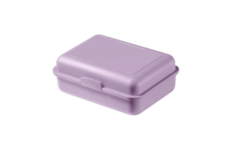 Eco Lunch/Storage Box