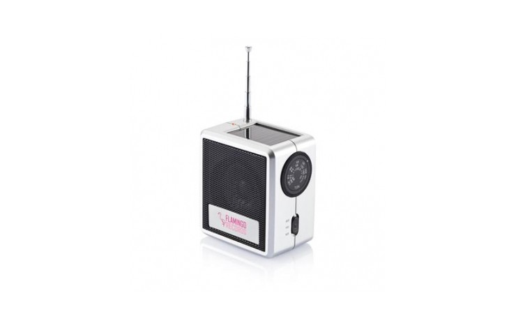 Dual Power Radio