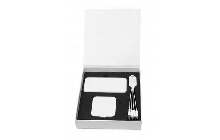 Executive Charging Gift Set