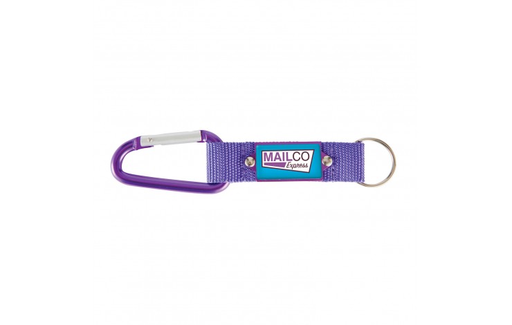 Express Carabiner Keyring