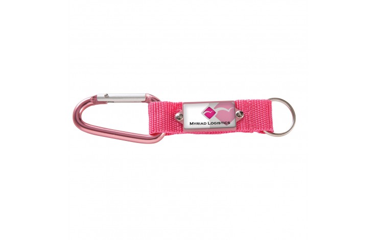 Express Carabiner Keyring