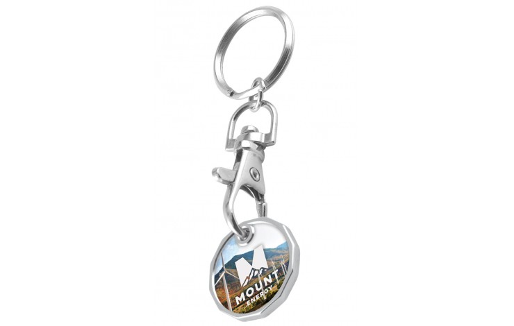 Colour Trolley Coin Keyring