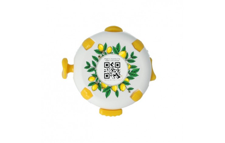 Fidget Puck