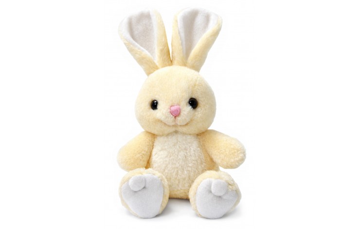 Plush Rabbit Soft Toy