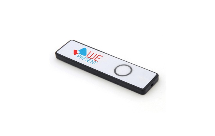 Flat Laser Pointer