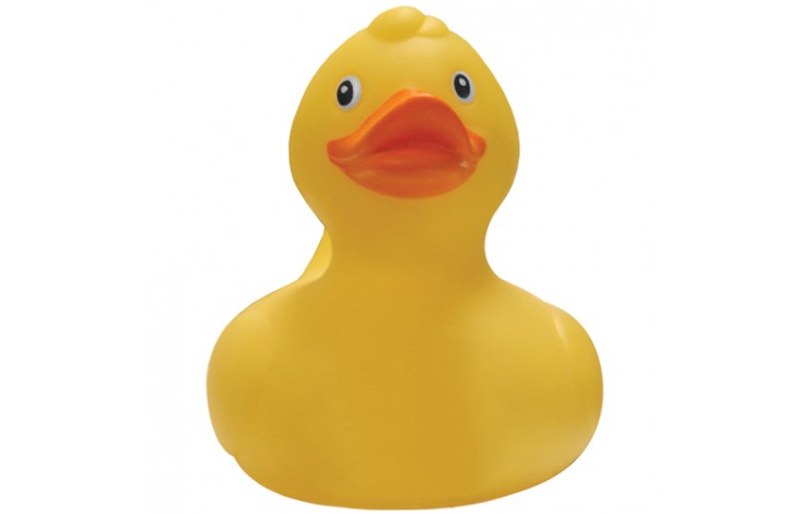 Floating Duck