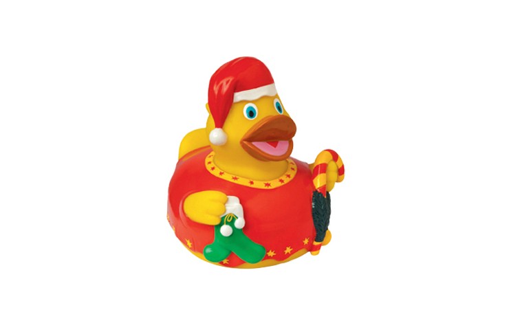 Floating Duck
