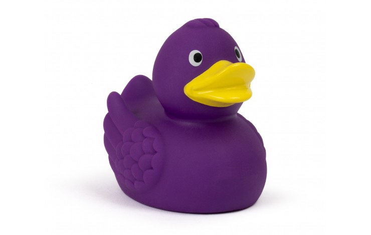 Floating Duck